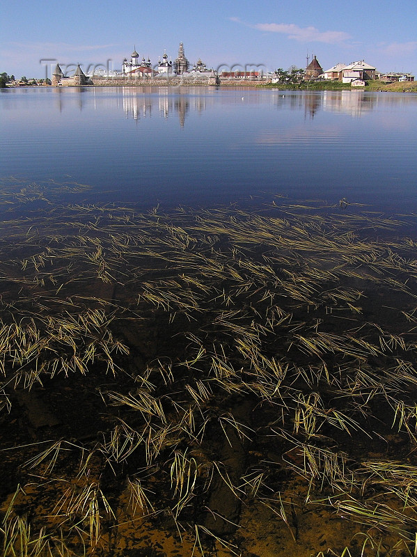 russia613: Russia - Solovetsky Islands: the Monastery reflecting in Svyatoe Lake - weed - photo by J.Kaman - (c) Travel-Images.com - Stock Photography agency - Image Bank