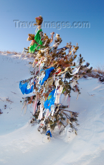 russia763: Lake Baikal, Irkutsk oblast, Siberian Federal District, Russia: Shaman prayer flags on a tree - photo by B.Cain - (c) Travel-Images.com - Stock Photography agency - Image Bank