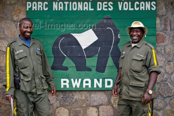 rwanda21: Volcanoes National Park / Parc National des Volcans, Northern Province, Rwanda: Park Rangers at Volcanoes National Park,home of the largest population of Mountain Gorillas in the world - photo by C.Lovell - (c) Travel-Images.com - Stock Photography agency - Image Bank