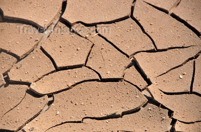 saba46: Fort Bay, Saba: cracked dry mud - photo by M.Torres - (c) Travel-Images.com - Stock Photography agency - Image Bank