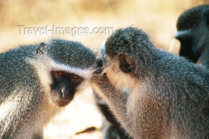 (c) Travel-Images.com - Stock Photography agency - the Global Image Bank