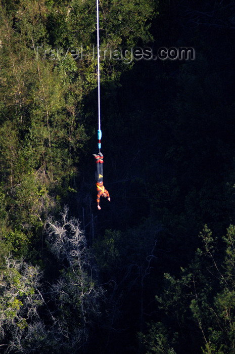 safrica118: South Africa - Bloukrans Bungee hanging upside down, Plettenberg Bay - Garden route - photo by B.Cain - (c) Travel-Images.com - Stock Photography agency - Image Bank