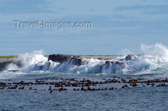 safrica137: South Africa - Dyer Island, shark cage dive site, near Gansbaai - photo by B.Cain - (c) Travel-Images.com - Stock Photography agency - Image Bank