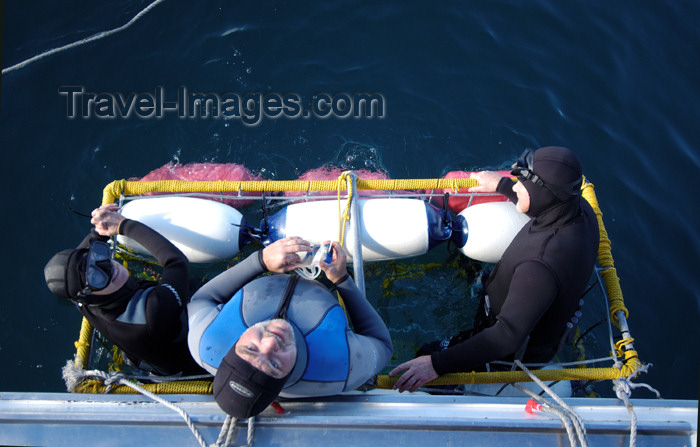 safrica139: South Africa - Great White Shark cage with people, near Gansbaai - Gansbay - photo by B.Cain - (c) Travel-Images.com - Stock Photography agency - Image Bank