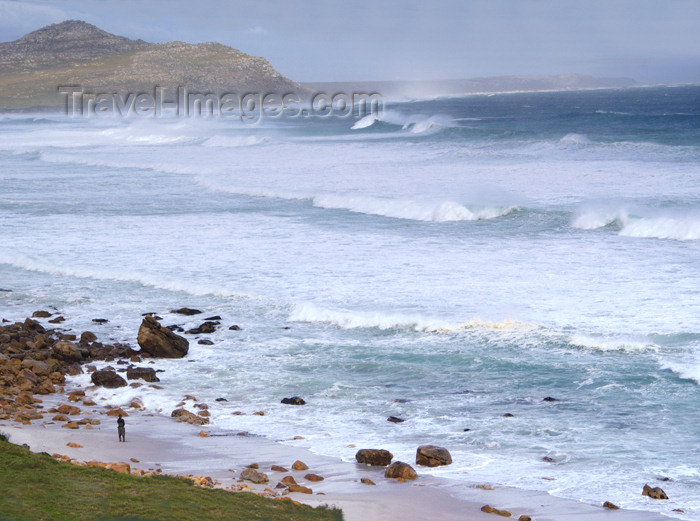 safrica143: South Africa - Hout Bay near Cape Town - photo by B.Cain - (c) Travel-Images.com - Stock Photography agency - Image Bank