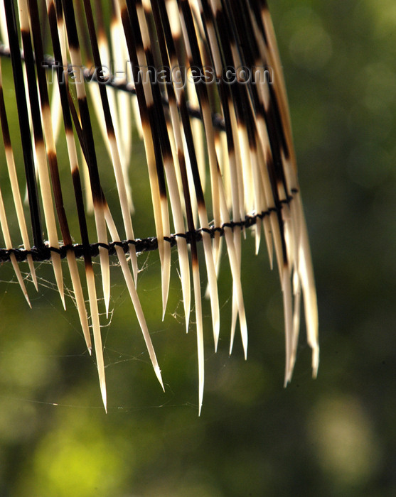 safrica166: South Africa - South Africa Porcupine quill lamp shade, Singita Game Reserve lodge - photo by B.Cain - (c) Travel-Images.com - Stock Photography agency - Image Bank