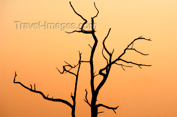 (c) Travel-Images.com - Stock Photography agency - the Global Image Bank