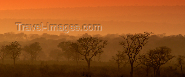 safrica182: South Africa - South Africa Sunrise on savannah panorama - photo by B.Cain - (c) Travel-Images.com - Stock Photography agency - Image Bank