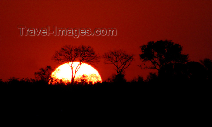 safrica183: South Africa - South Africa Sunset & Trees, Singita - photo by B.Cain - (c) Travel-Images.com - Stock Photography agency - Image Bank