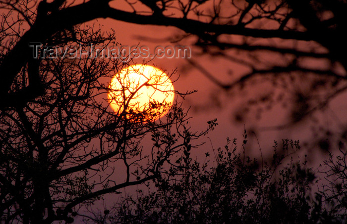 safrica184: South Africa - South Africa Sunset through tree branches, Singita - photo by B.Cain - (c) Travel-Images.com - Stock Photography agency - Image Bank