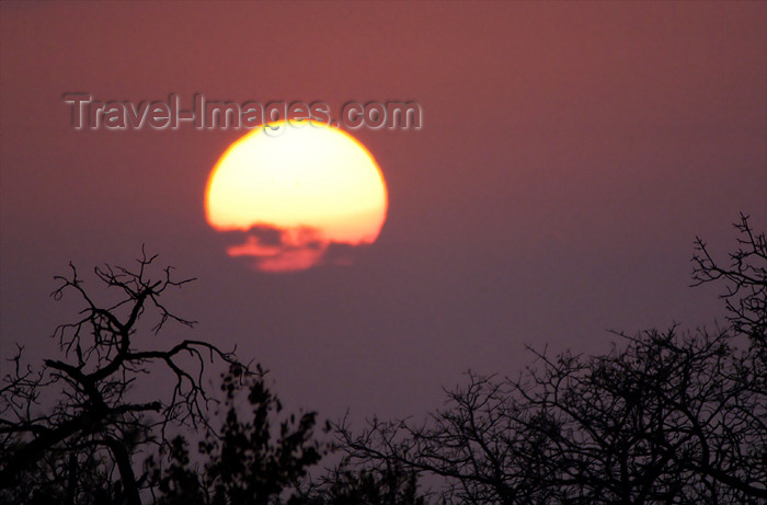 safrica185: South Africa - Sunsetover the savannah,  Singita - photo by B.Cain - (c) Travel-Images.com - Stock Photography agency - Image Bank