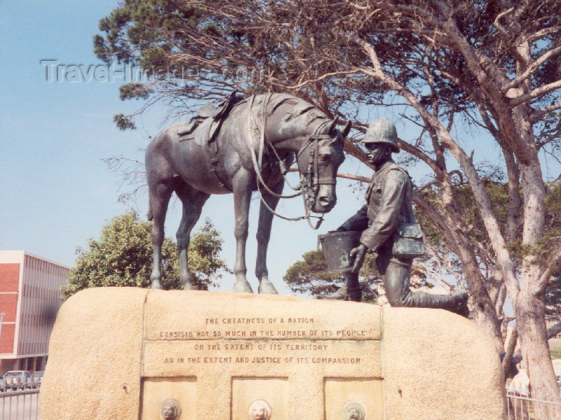 safrica31: South Africa - Port Elizabeth / PLZ: honouring the horse - sculptor Joseph Whitehead - photo by M.Torres - (c) Travel-Images.com - Stock Photography agency - Image Bank