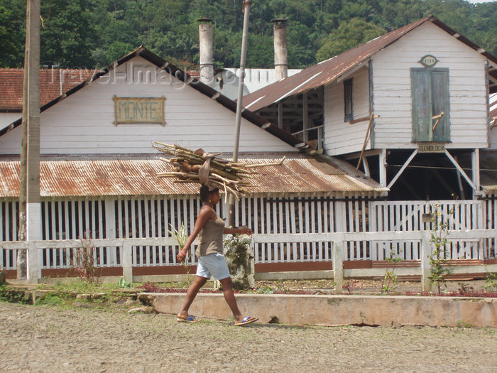 sao-tome14: São Tomé e Príncipe - São Tomé island / ilha de São Tomé -  Roça Monte Café: woman carrying wood - photo by B.Cloutier - (c) Travel-Images.com - Stock Photography agency - Image Bank