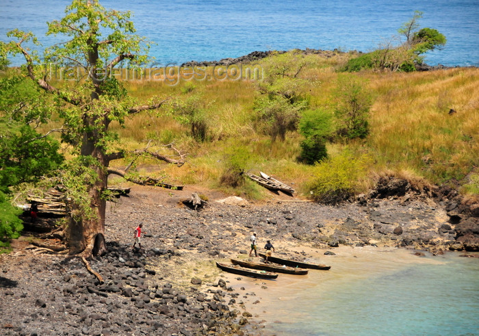 sao-tome149: Lagoa Azul, Lobata district, São Tomé and Príncipe / STP: beach and fishing boats under a giant baobab tree / praia e barcos de pesca debaixo de um embondeiro gigante - dongos - photo by M.Torres - (c) Travel-Images.com - Stock Photography agency - Image Bank