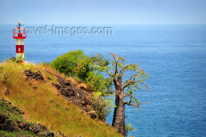 sao-tome154: Lagoa Azul, Lobata district, São Tomé and Príncipe / STP: lighthouse and baobab on the edge of land / farol e embondeiro na falésia - photo by M.Torres - (c) Travel-Images.com - Stock Photography agency - Image Bank