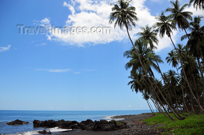 sao-tome182: Esprainha, Lembá district, São Tomé and Príncipe / STP: coconut-tree lined coast / costa e coqueiros - photo by M.Torres - (c) Travel-Images.com - Stock Photography agency - Image Bank