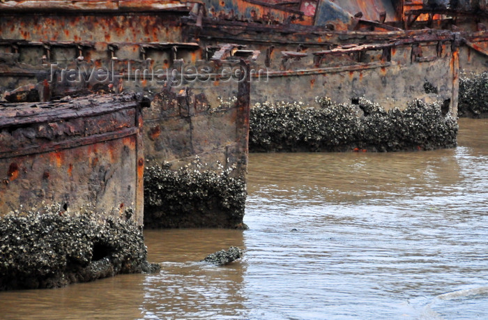 sao-tome31: São Tomé, São Tomé and Príncipe / STP: old hulls rust in the harbour / no porto velhos cascos enchem-se de ferrugem e lapas - photo by M.Torres - (c) Travel-Images.com - Stock Photography agency - Image Bank