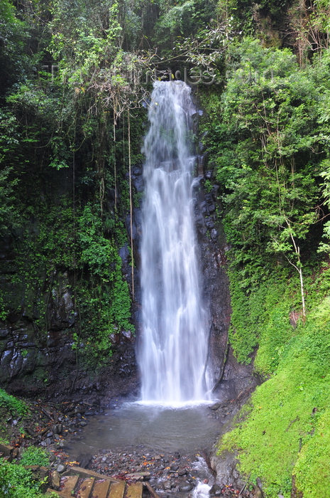 sao-tome62: São Nicolau waterfall / cascata São Nicolau, Mé-Zóchi district, São Tomé and Príncipe / STP: waterfall surrounded by lush vegetation / cascata rodeada de vegetação luxuriante - photo by M.Torres - (c) Travel-Images.com - Stock Photography agency - Image Bank