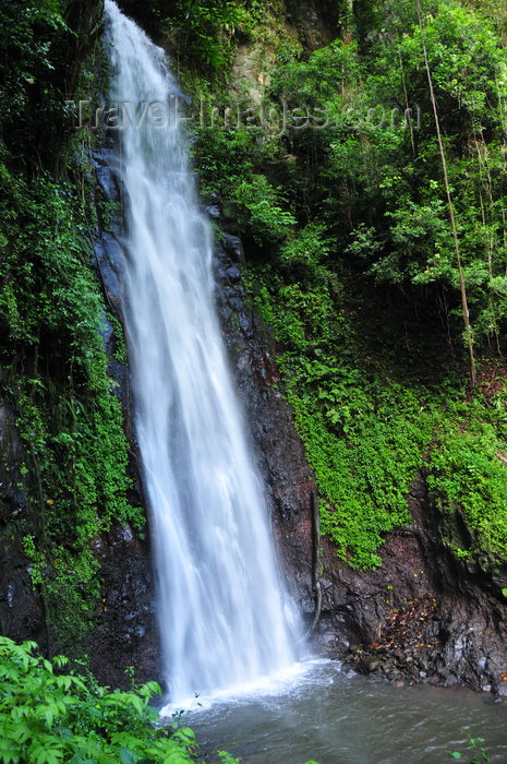 sao-tome63: São Nicolau waterfall / cascata São Nicolau, Mé-Zóchi district, São Tomé and Príncipe / STP: falls on Manuel Jorge river / quedas de água no rio Manuel Jorge - photo by M.Torres - (c) Travel-Images.com - Stock Photography agency - Image Bank