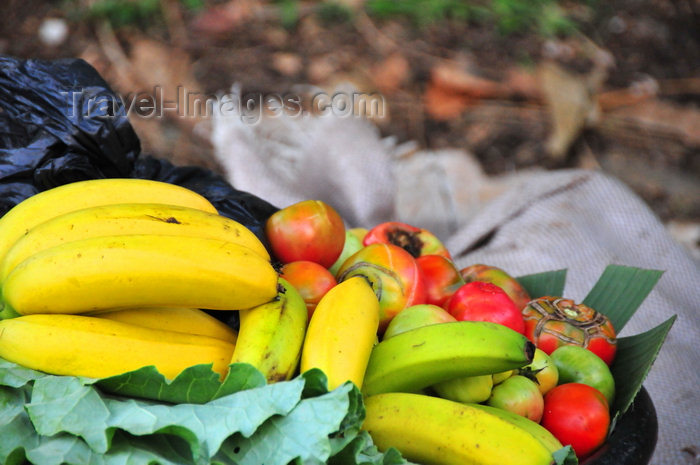 sao-tome65: Pousada, Mé-Zóchi district, São Tomé and Príncipe / STP: fruit by the road-side waiting for a buyer / fruta junto à estrada aguarda comprador - photo by M.Torres - (c) Travel-Images.com - Stock Photography agency - Image Bank