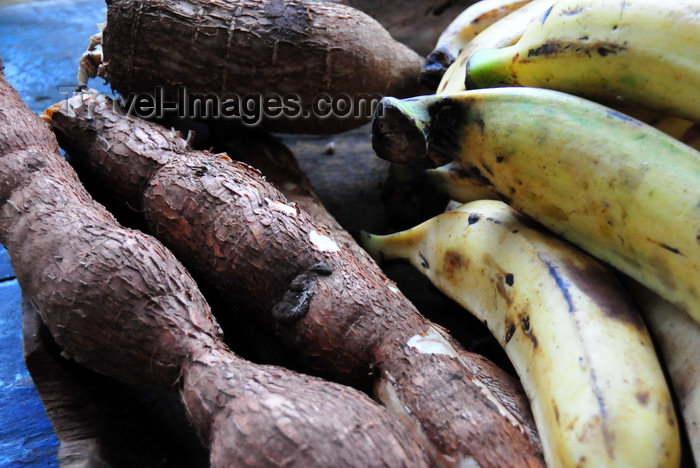 sao-tome71: São João plantation / roça São João, Caué district, São Tomé and Prícipe / STP: cassava roots and bananas - nature morte / mandioca e bananas - photo by M.Torres - (c) Travel-Images.com - Stock Photography agency - Image Bank