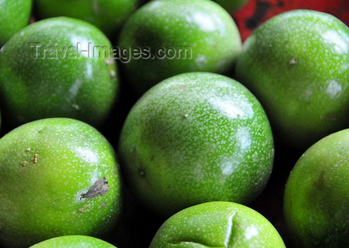 sao-tome75: São João plantation / roça São João, Caué district, São Tomé and Prícipe / STP: Passion fruit - Passiflora edulis / Maracujás - photo by M.Torres - (c) Travel-Images.com - Stock Photography agency - Image Bank