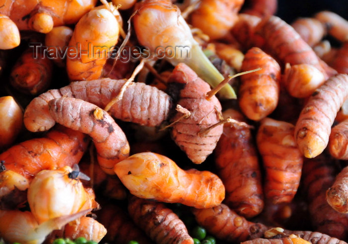 sao-tome78: São João plantation / roça São João, Caué district, São Tomé and Prícipe / STP: fresh turmeric root - Curcuma longa -  the plantation showcases local produce for sale to visitors / raízes de açafrão-da-terra / cúrcuma / turmérico / gengibre amarelo - photo by M.Torres - (c) Travel-Images.com - Stock Photography agency - Image Bank