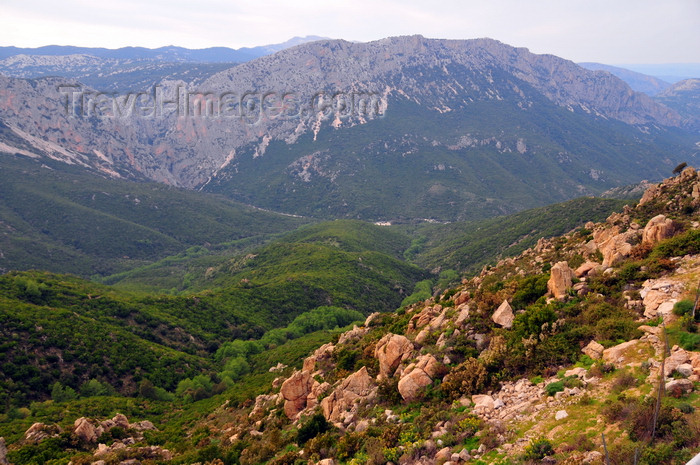 sardinia15: Dorgalia / Durgàli, Nuoro province, Sardinia/ Sardegna / Sardigna: limestone landscape - in the mountains - Supramonte mountain area - photo by M.Torres - (c) Travel-Images.com - Stock Photography agency - Image Bank