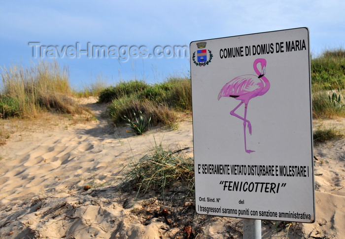 sardinia233: Baia di Chia, Domus de Maria municipality, Cagliari province, Sardinia / Sardegna / Sardigna: sand dunes by the lagoon - sign – do not disturb the flamingos - vietato disturbare e molestari i fenicotteri - photo by M.Torres - (c) Travel-Images.com - Stock Photography agency - Image Bank