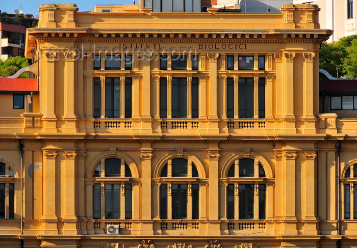 sardinia362: Cagliari, Sardinia / Sardegna / Sardigna: palazzo degli Istituti Biologici - designed by Prof. G.Tognetti - Aresu Clinic - University of Cagliari building in the Fossa di San Guglielmo - Via Porcell - photo by M.Torres - (c) Travel-Images.com - Stock Photography agency - Image Bank