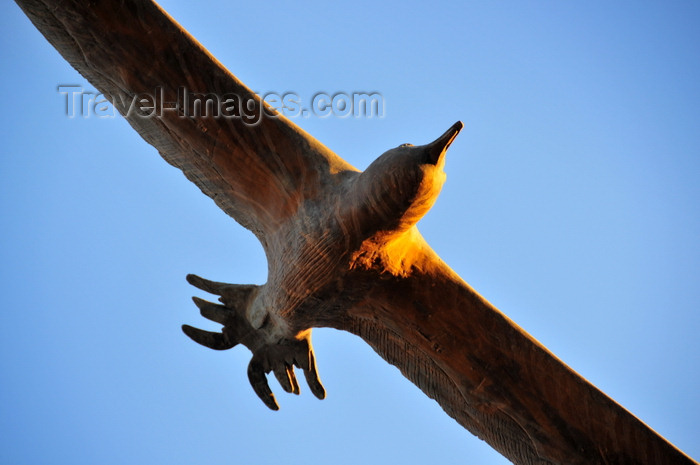 sardinia366: Cagliari, Sardinia / Sardegna / Sardigna: the impossible statue of a seagull in flight - Via Roma - Calata Roma - quartiere Marina - photo by M.Torres - (c) Travel-Images.com - Stock Photography agency - Image Bank