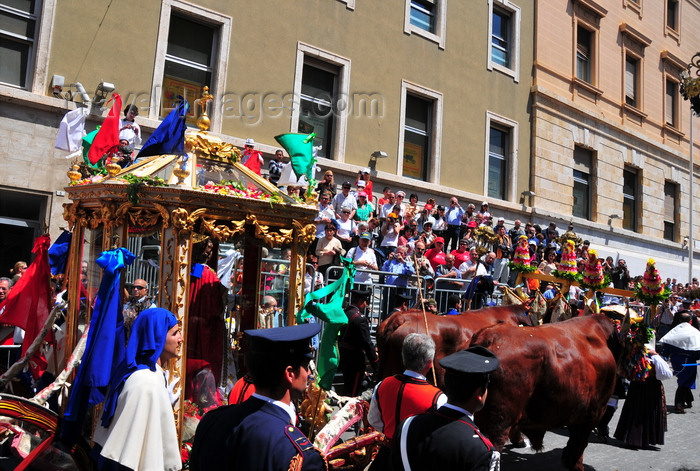 sardinia385: Cagliari, Sardinia / Sardegna / Sardigna: Feast of Sant'Efisio / Sagra di Sant'Efisio - the saint travels in a coach pulled by oxen - Via Goffredo Mameli - photo by M.Torres - (c) Travel-Images.com - Stock Photography agency - Image Bank