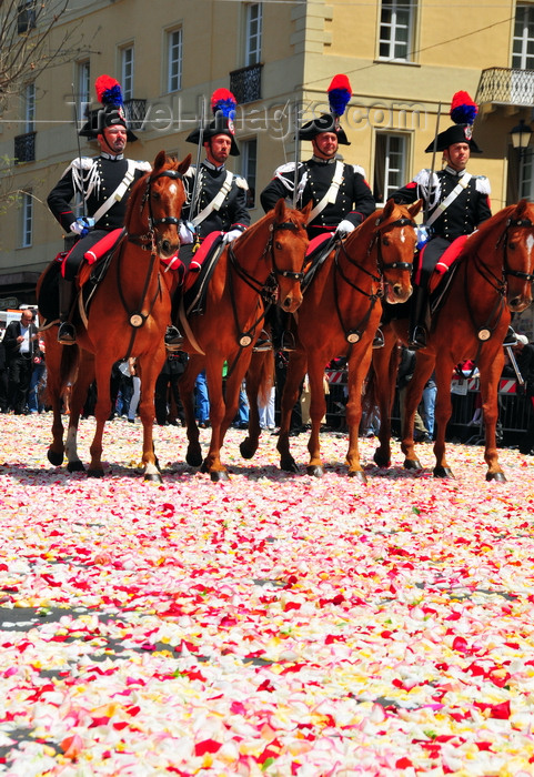 sardinia390: Cagliari, Sardinia / Sardegna / Sardigna: Feast of Sant'Efisio / Sagra di Sant'Efisio - mounted Carabinieri on a floor of rose petals of 'Sa Ramadura' - infiorata - tappeto floreale - photo by M.Torres - (c) Travel-Images.com - Stock Photography agency - Image Bank