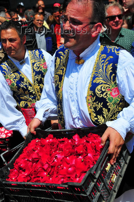 sardinia392: Cagliari, Sardinia / Sardegna / Sardigna: Feast of Sant'Efisio / Sagra di Sant'Efisio - giving away rose petals for 'Sa Ramadura' - photo by M.Torres - (c) Travel-Images.com - Stock Photography agency - Image Bank