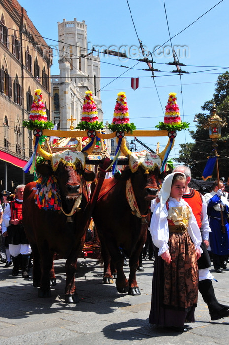 sardinia399: Cagliari, Sardinia / Sardegna / Sardigna: Feast of Sant'Efisio / Sagra di Sant'Efisio - the saint an the oxen reach the Palazzo Vivanet - Via Roma - the most important religious festival of Sardinia - photo by M.Torres - (c) Travel-Images.com - Stock Photography agency - Image Bank