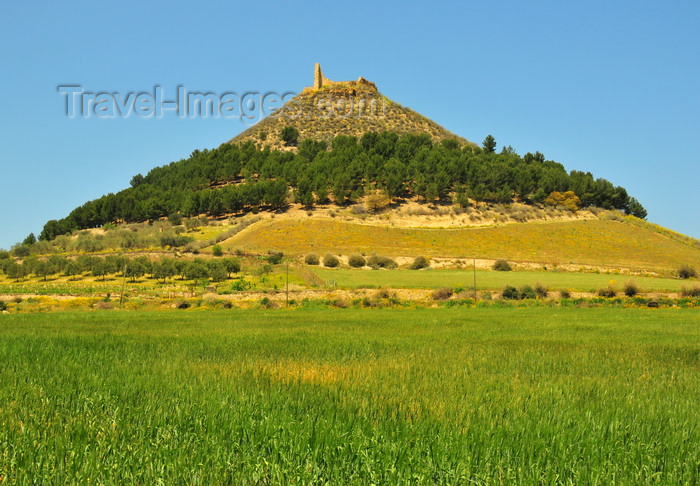 sardinia57: Las Plassas / Is Pratzas, Medio Campidano province, Sardinia / Sardegna / Sardigna: Marmilla / Las Plassas castle - built in the Giudicati period, as with the decline of the Byzantine empire the island was divided in kingdoms - castello medievale di Marmilla - photo by M.Torres - (c) Travel-Images.com - Stock Photography agency - Image Bank