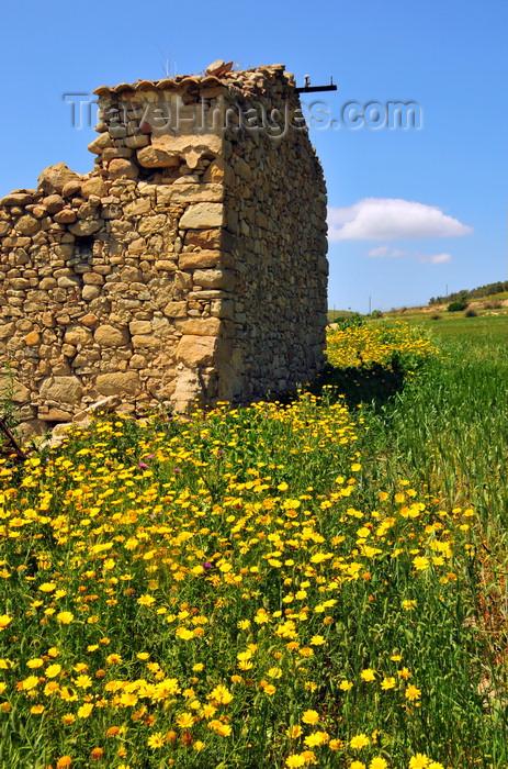 sardinia58: Las Plassas / Is Pratzas, Medio Campidano province, Sardinia / Sardegna / Sardigna: ruined house in a field of flowers - photo by M.Torres - (c) Travel-Images.com - Stock Photography agency - Image Bank