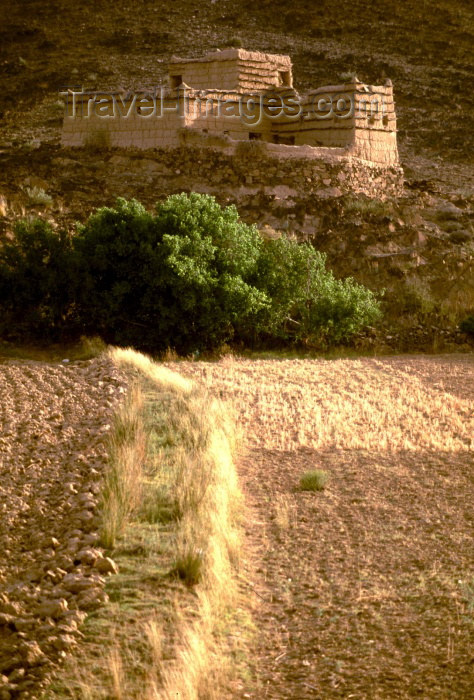 saudi-arabia130: Saudi Arabia - Asir province - Abha: farm (photo by F.Rigaud) - (c) Travel-Images.com - Stock Photography agency - Image Bank