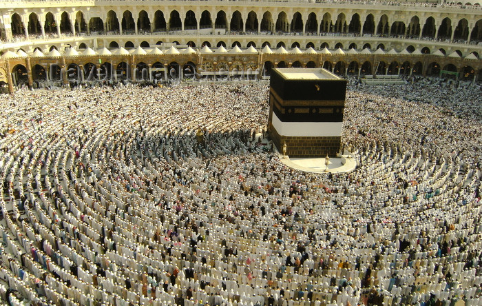 saudi-arabia154: Mecca / Makkah, Saudi Arabia: Muslims get ready to pray at Haram Mosque, facing the Kaaba during Hajj, the fifth pillar of Islam - non-muslims are not allowed to enter Haram Mosque or Mecca - photo by A.Faizal - (c) Travel-Images.com - Stock Photography agency - Image Bank