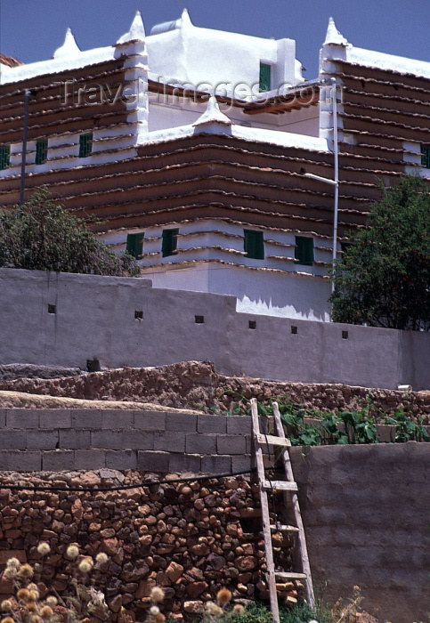 saudi-arabia17: Saudi Arabia - Asir province - Abha: mud village - ladder on wall (photo by F.Rigaud) - (c) Travel-Images.com - Stock Photography agency - Image Bank