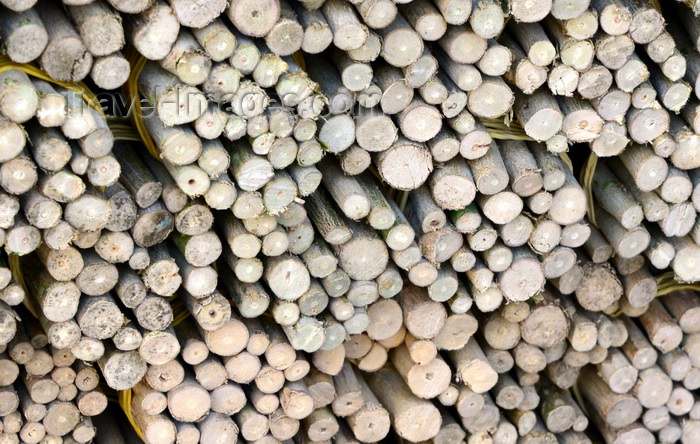 saudi-arabia46: Jeddah, Mecca Region, Saudi Arabia: miswak - wood for teeth cleaning twigs at Suq Bab Makkah - roots and branches of the arak tree (Salvadora persica) are used as a natural toothbrush - photo by M.Torres - (c) Travel-Images.com - Stock Photography agency - Image Bank