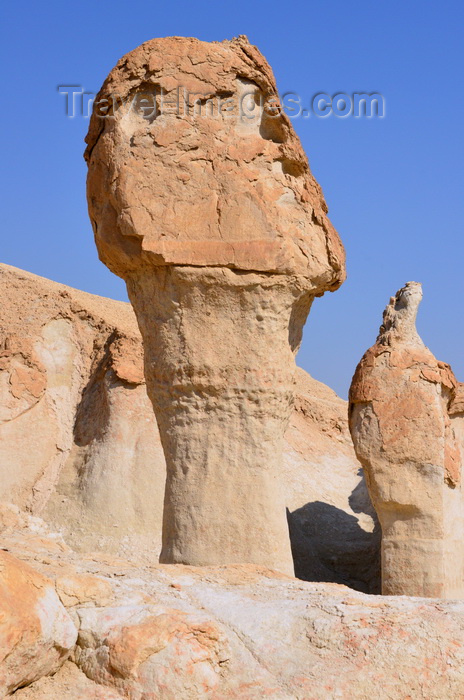 saudi-arabia69: Al-Qarah, Al-Hofuf, Al-Ahsa Oasis, Eastern Province, Saudi Arabia: pair of hoodoos, erosion of Al-Qarah mountain / Jabal Al-Qarah, UNESCO world heritage site - photo by M.Torres - (c) Travel-Images.com - Stock Photography agency - Image Bank