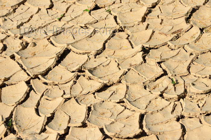 saudi-arabia71: Al-Qarah, Al-Hofuf, Al-Ahsa Oasis, Eastern Province, Saudi Arabia: cracked mud dried by the sun after torrential rain - Al-Qarah mountain / Jabal Al-Qarah - photo by M.Torres - (c) Travel-Images.com - Stock Photography agency - Image Bank