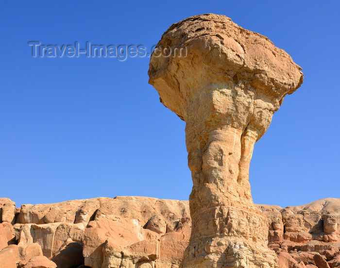 saudi-arabia74: Al-Qarah, Al-Hofuf, Al-Ahsa Oasis, Eastern Province, Saudi Arabia: hoodoo / fairy chimney at Al-Qarah mountain / Jabal Al-Qarah, UNESCO world heritage site - photo by M.Torres - (c) Travel-Images.com - Stock Photography agency - Image Bank