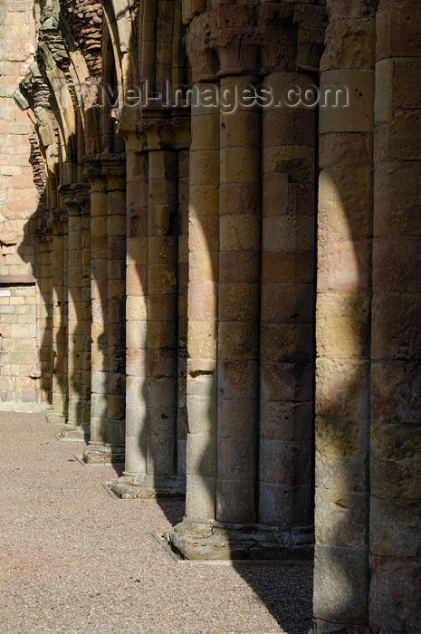 scot102: Jedburgh, Borders, Scotland: the Abbey - ruins - photo by C.McEachern - (c) Travel-Images.com - Stock Photography agency - Image Bank