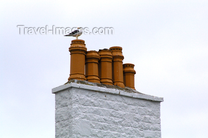 scot185: Scotland - Islay Island - Bowmore: a seagull surveys the ocean from his perch atop a chimney - photo by C.McEachern - (c) Travel-Images.com - Stock Photography agency - Image Bank