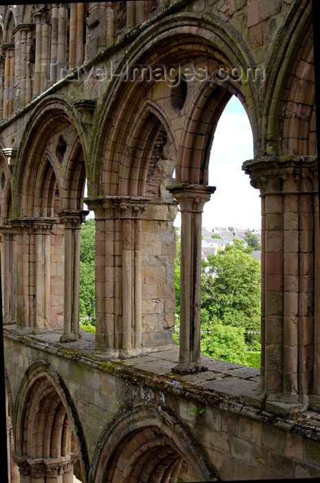 scot94: Jedburgh, Borders, Scotland: the Abbey - windows - photo by C.McEachern - (c) Travel-Images.com - Stock Photography agency - Image Bank