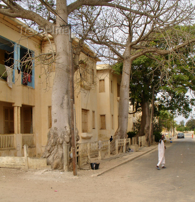 senegal67: Senegal - Saint Louis: street - photo by G.Frysinger - (c) Travel-Images.com - Stock Photography agency - Image Bank