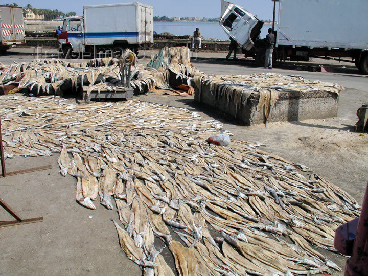 senegal72: Senegal - Saint Louis: fishermen village - fish drying  - photo by G.Frysinger - (c) Travel-Images.com - Stock Photography agency - Image Bank