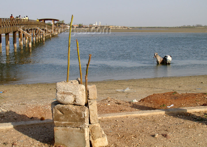 senegal98: Senegal - Joal-Fadiouth: shell village - beach - photo by G.Frysinger - (c) Travel-Images.com - Stock Photography agency - Image Bank